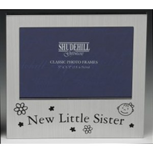 Frames - New Little Sister