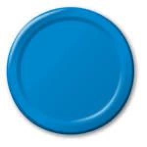 Bright Blue Plates (24)