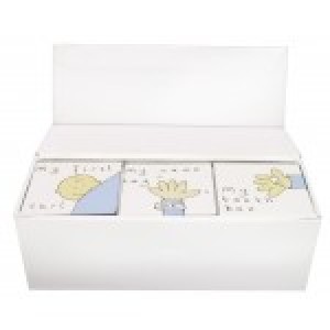 Baby Boy Mini Box Set