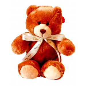 Personalised Teddy 