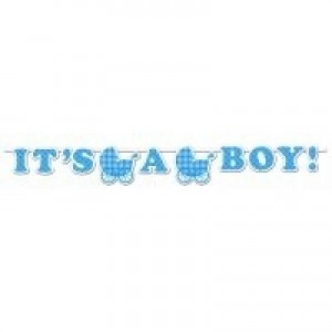 Baby Boy Gingham & Spots Ribbon Banner