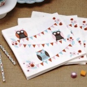 Little Hoots Napkins