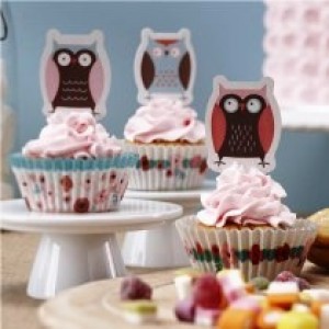 Little Hoots Cupcake Toppers & Cases