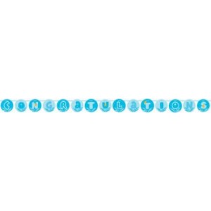 Little Quack Circle Jointed Banner