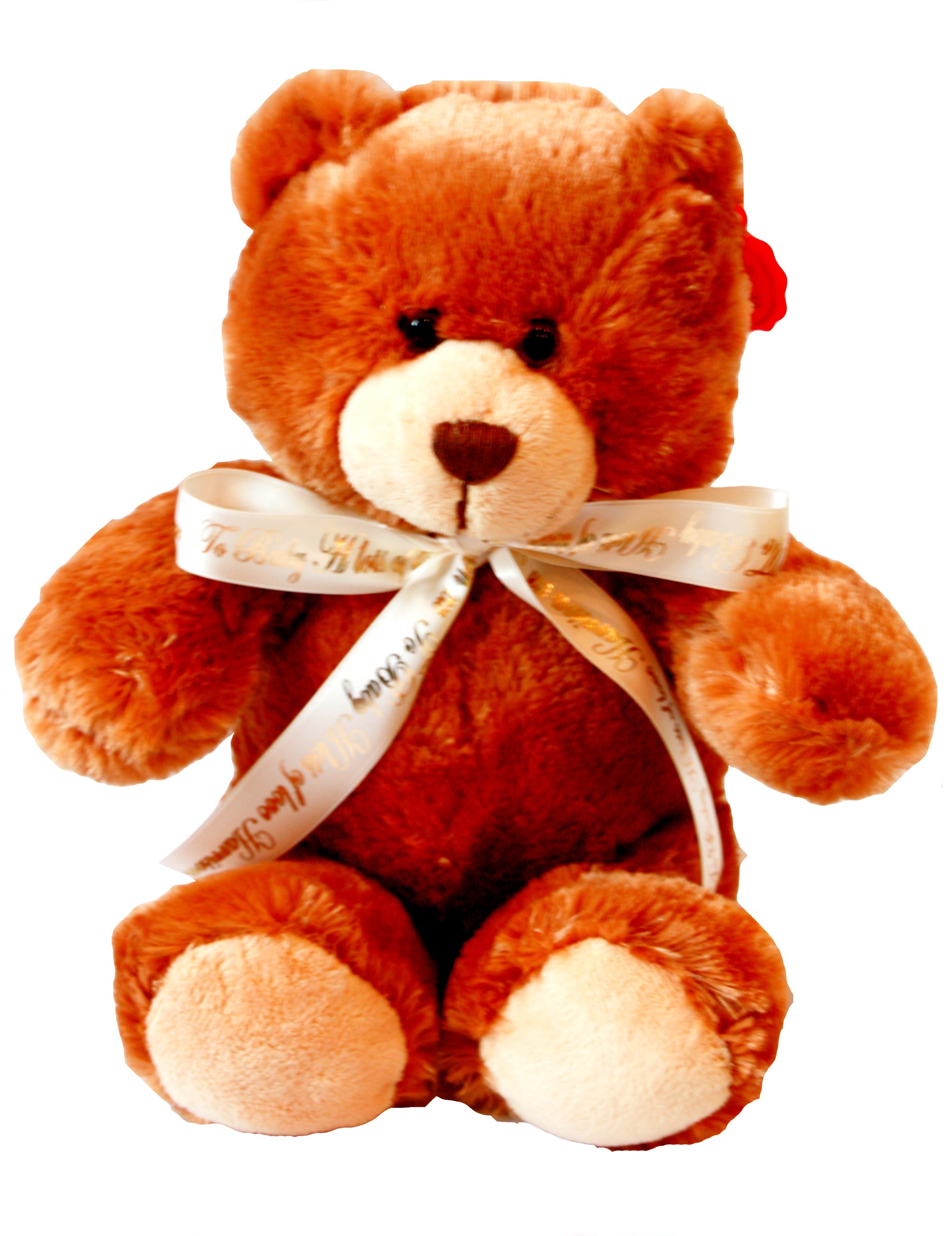 Personalised Teddy