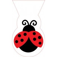 A Ladybird Shaped Cello Party Bag