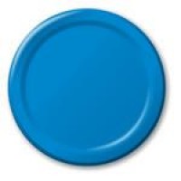 Bright Blue Plates (24)
