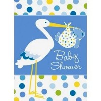 Baby Boy Stork Invitations