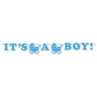 Baby Boy Gingham & Spots Ribbon Banner