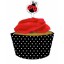 A Pack of Ladybird Cupcake Wraps & Picks