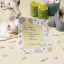 Baby Miffy pack of 10 Invitations
