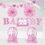 Baby Girl Clothes Line Room Decorating Kit