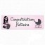A Fabulous Mummy To Be Personalised Banner