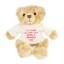 Personalised Bear with Pink Message